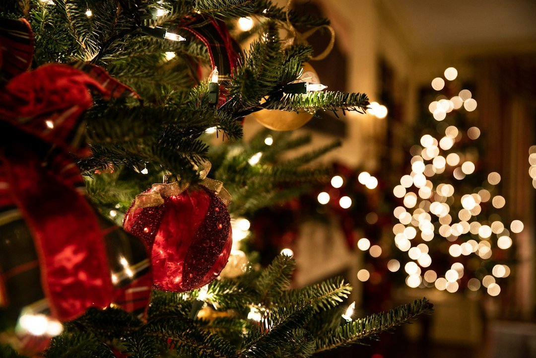 Christmas Tree Safety: Lights, Watering, and Fire Prevention